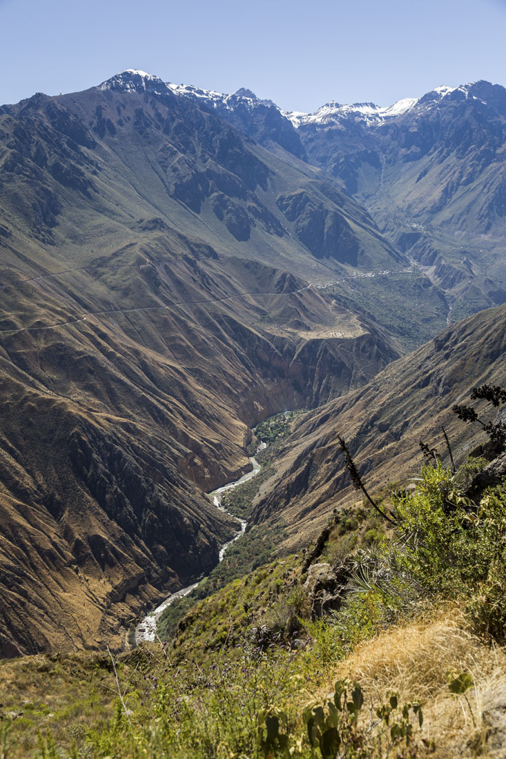 Uitzicht over de kloof Colca Canyon in Peru met groen langs de randen en de rivier Colca in de diepte van de kloof