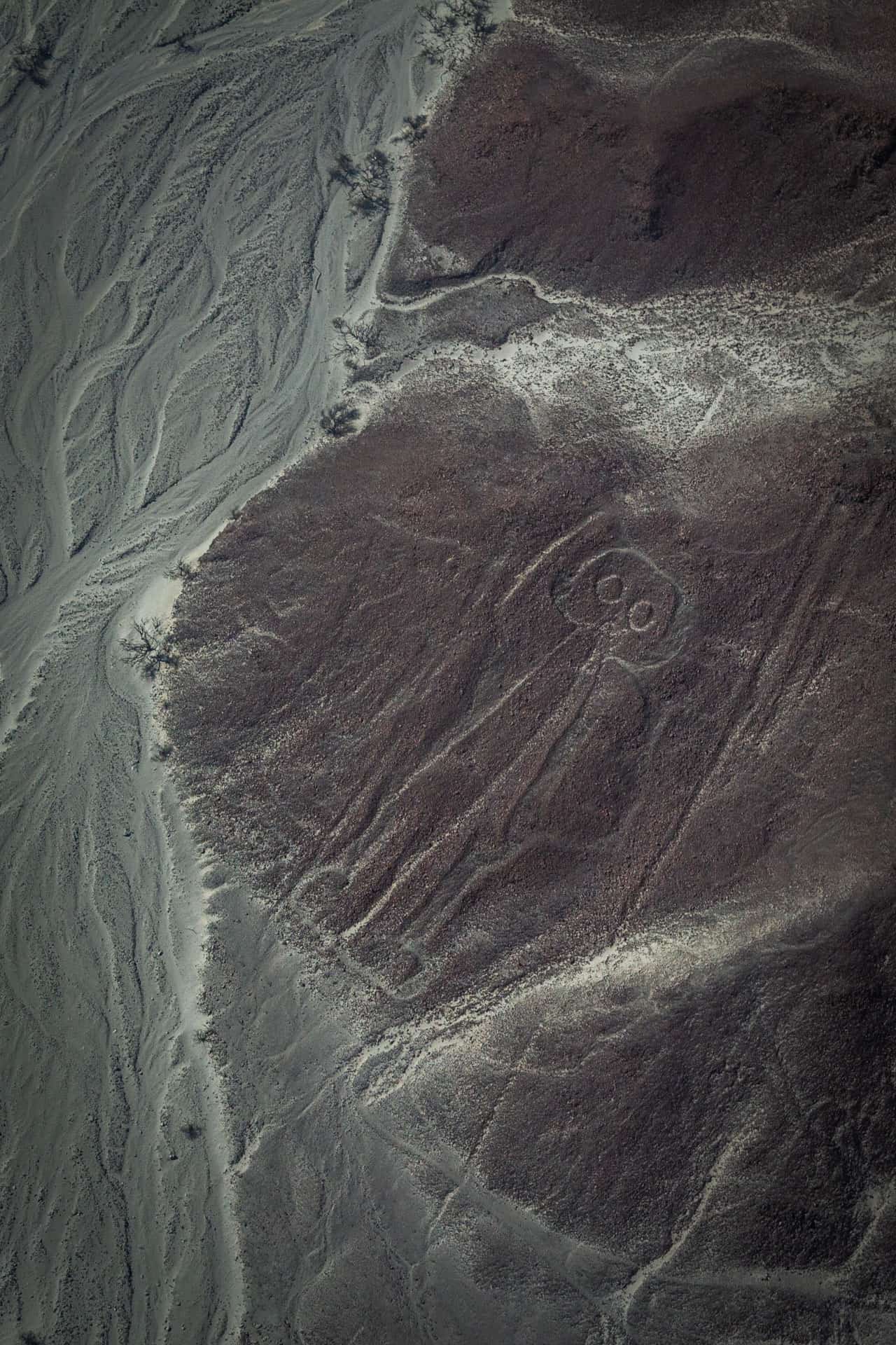 De astronaut op een berg met een arm omhoog om te zwaaien. Het mannetje is een van de Nazcalijnen.