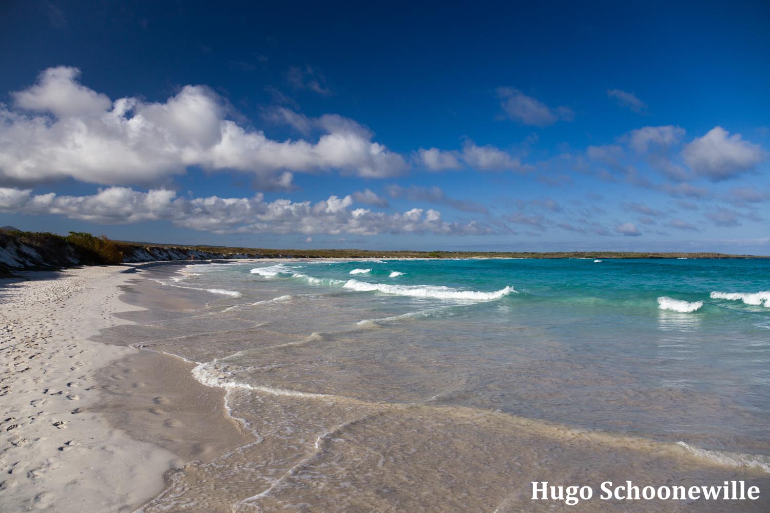Wit zandstrand met blauwe zee: alles om te doen op het eiland Santa Cruz op de Gálapagos
