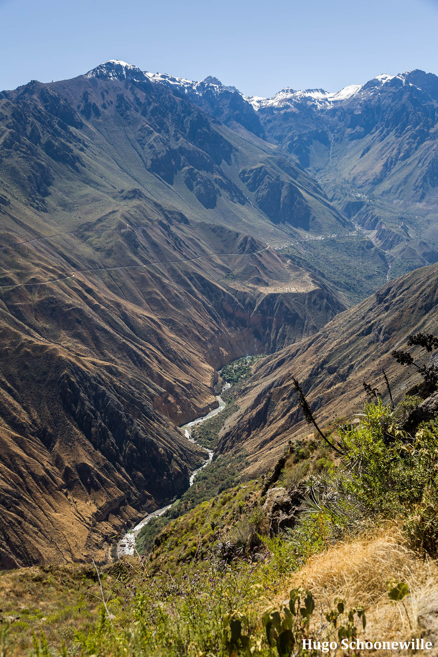 Uitzicht over de Colca Canyon in Peru met de rivier in de kloof.