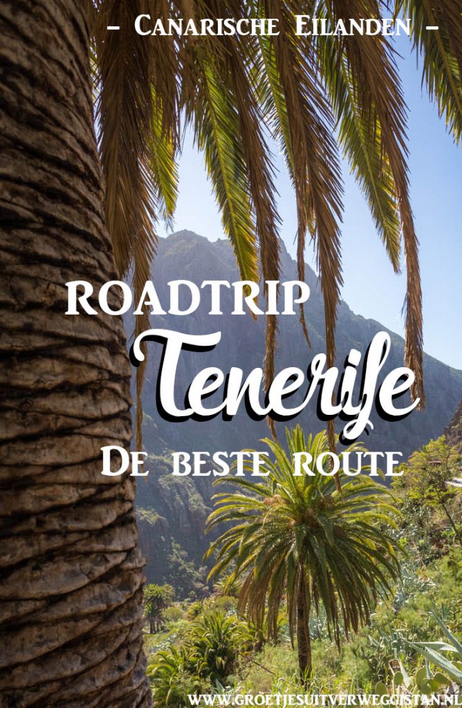 Uitzicht over Tenerife met palmbomen en bergen. Met tekst: roadtrip Tenerife: de beste route