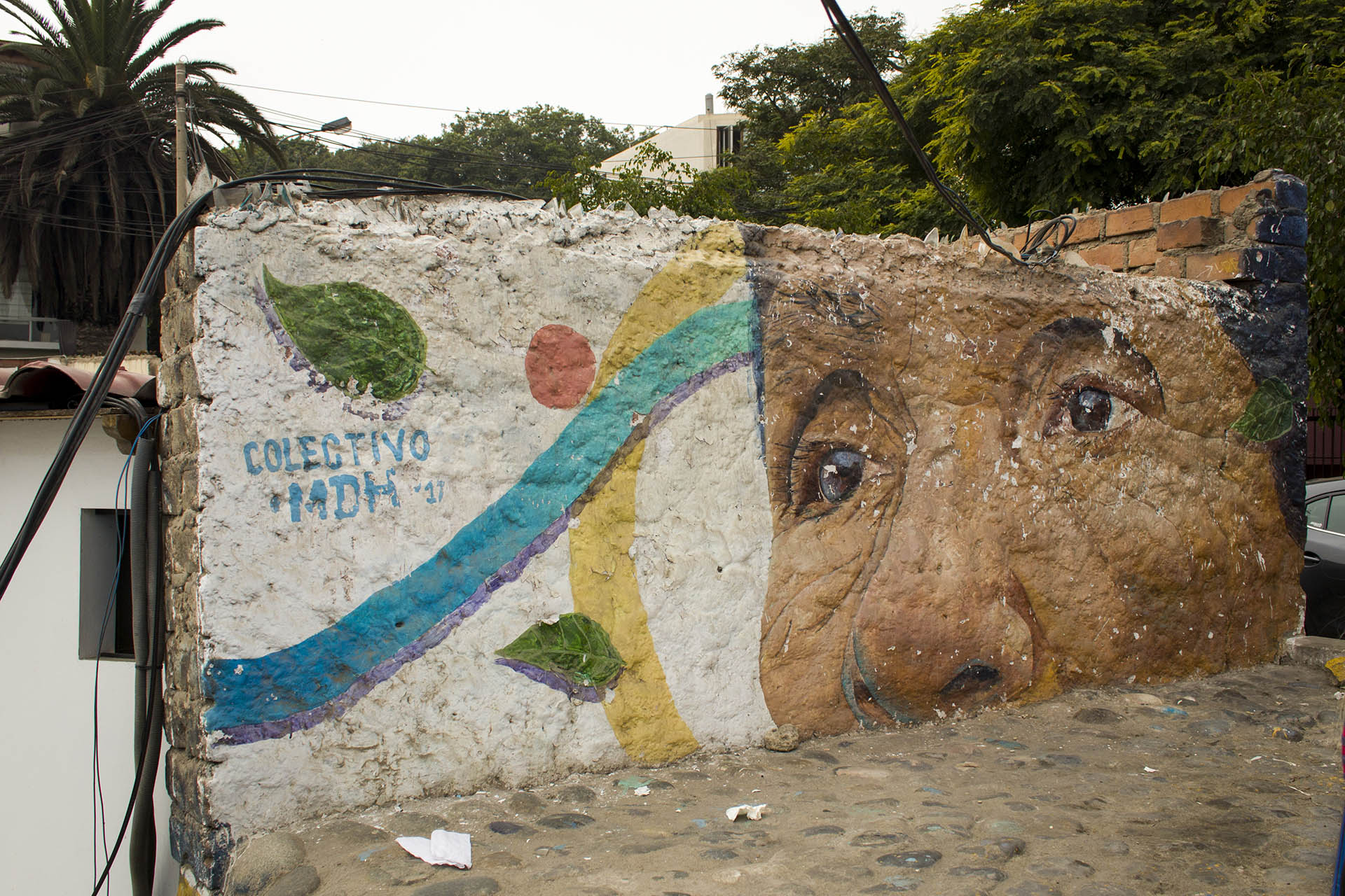 Muurschildering van een oudere vrouw in Barranco