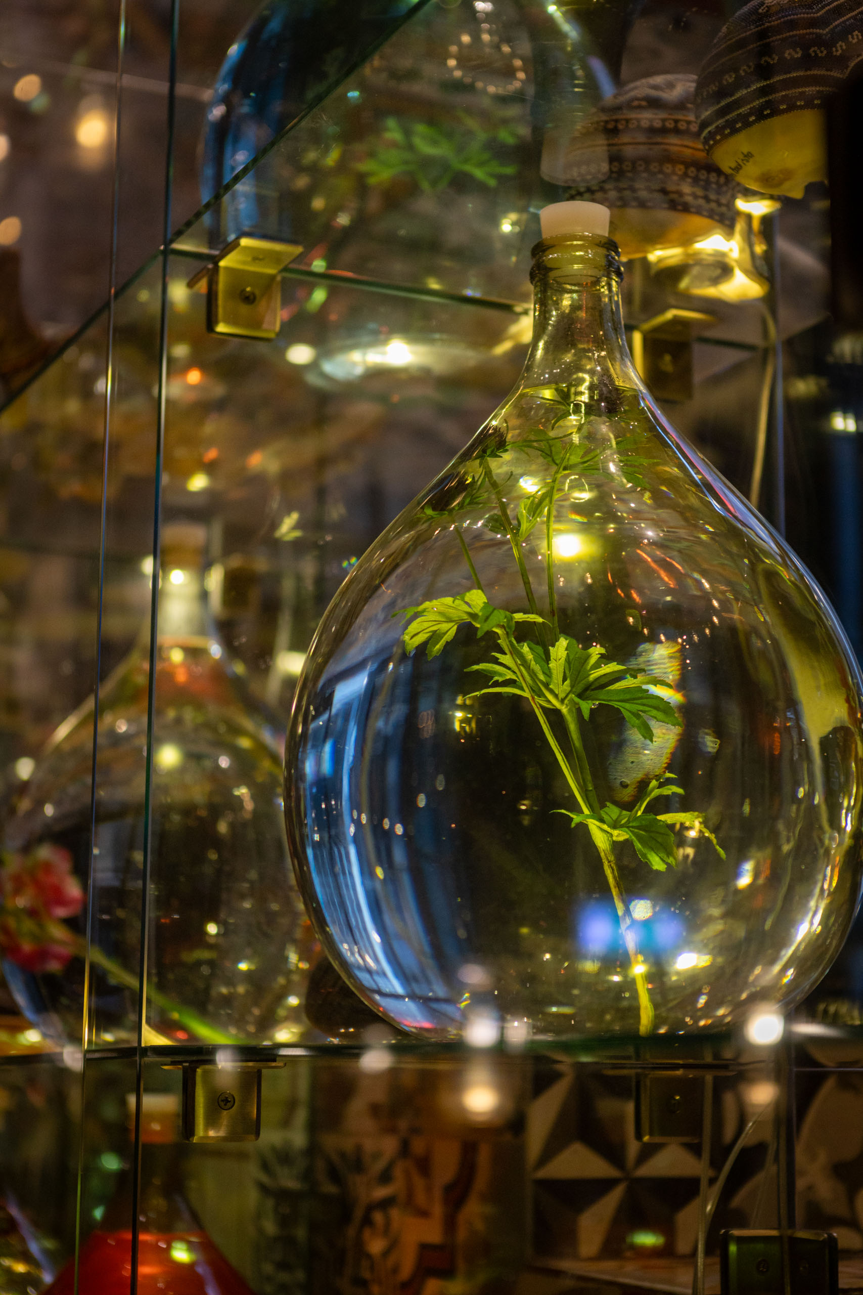 Plant in grote glazen fles in glazen kast bij restaurant Llama Kopenhagen