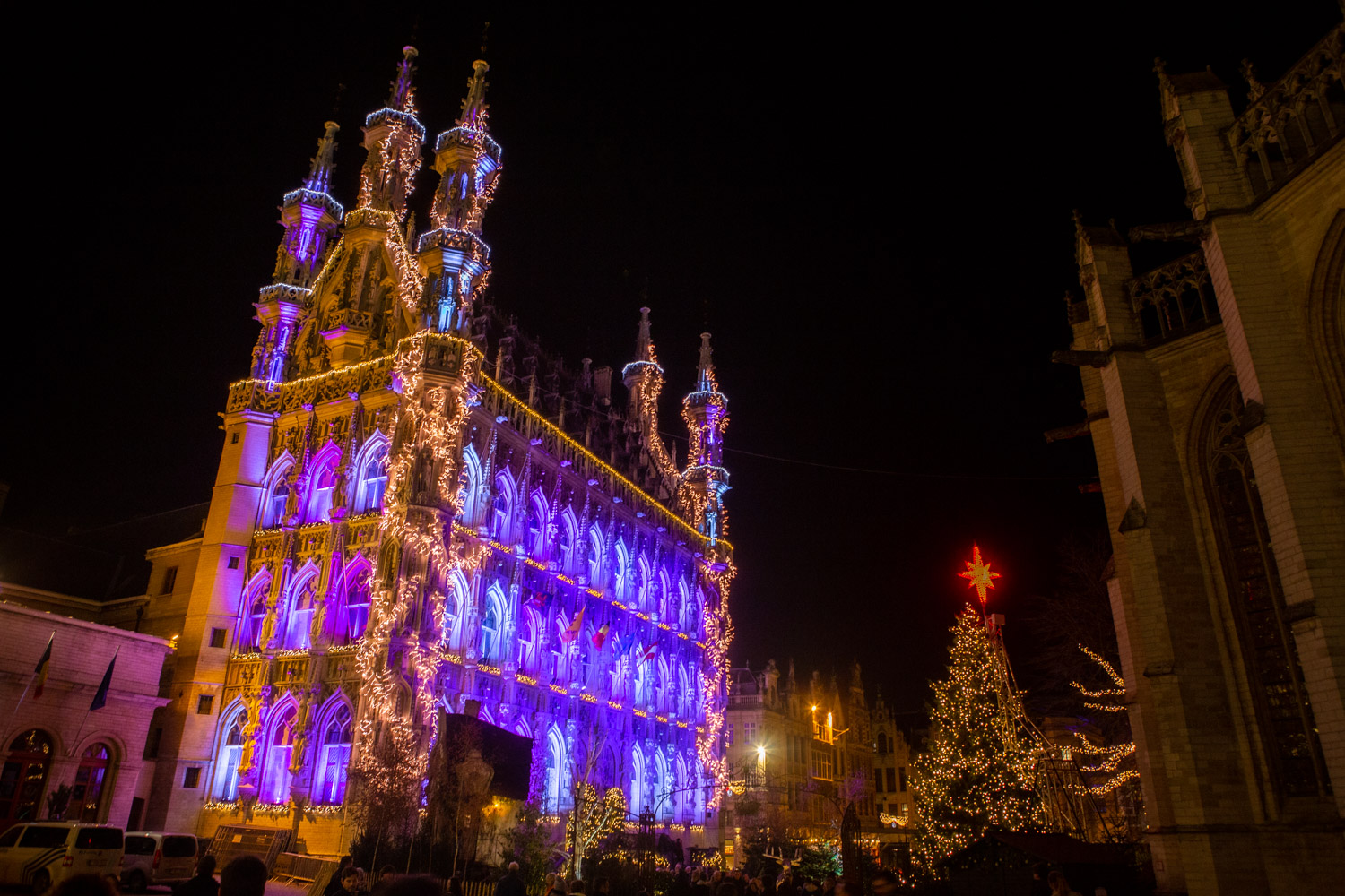 Kerstlichtjes omwikkelen het stadhuis van Leuven met ernaast een kerstboom op de kerstmarkt van Leuven