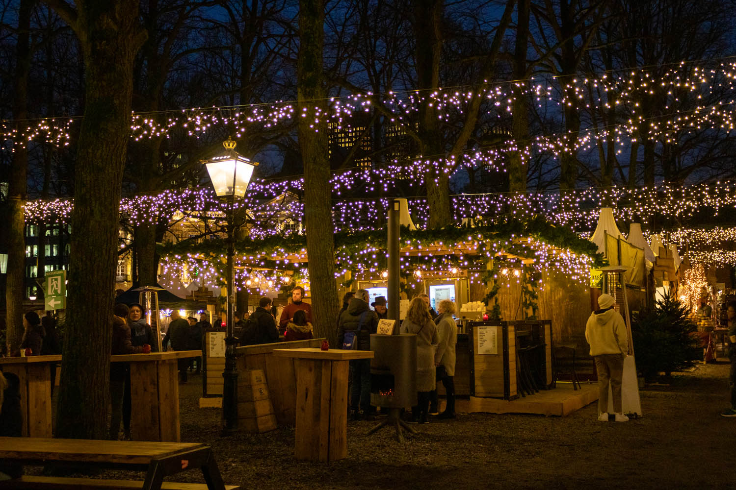 Lichtjes tussen de bomen bij de kerstmarkt in Den Haag