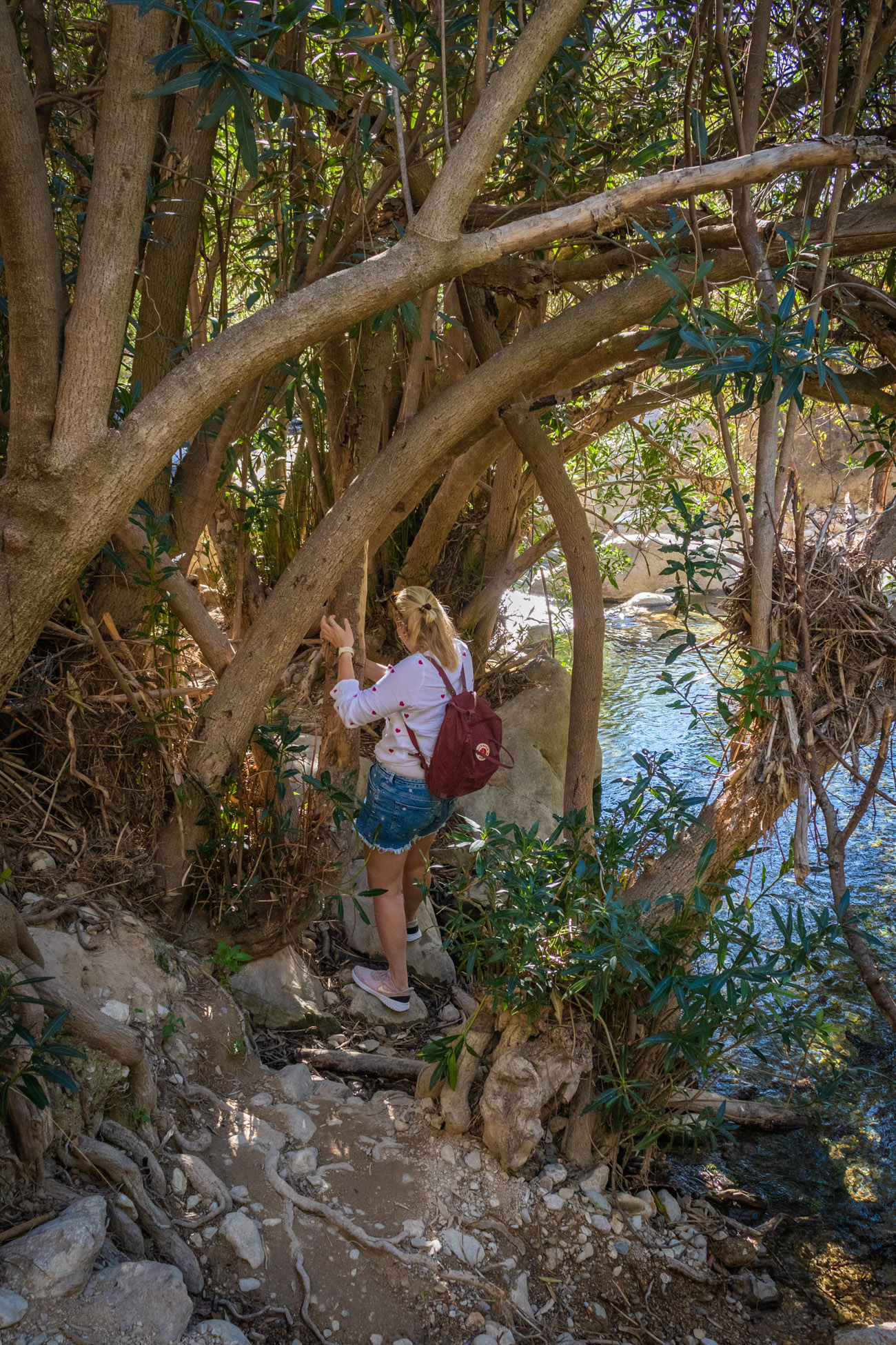 Kelly staat op een rots en houdt zichzelf staande aan een boomtak op het pad naar de watervallen van Algar
