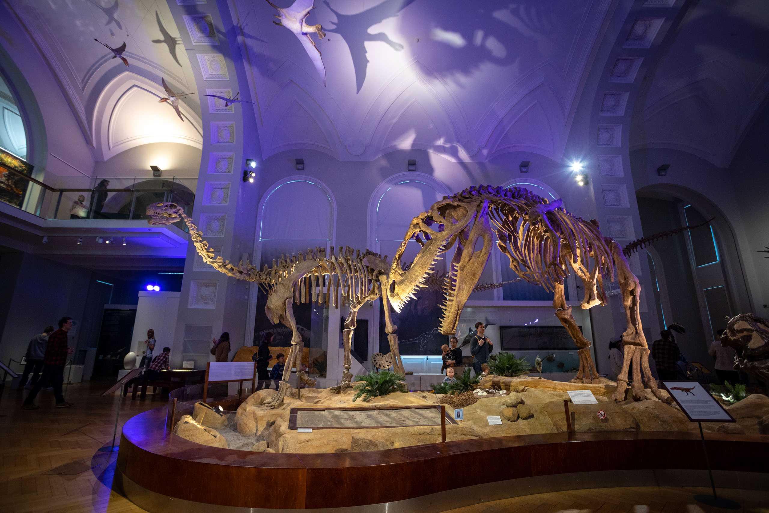 Dinosaurussen in een grote zaal in het Natuurhistorisch Museum in Helsinki