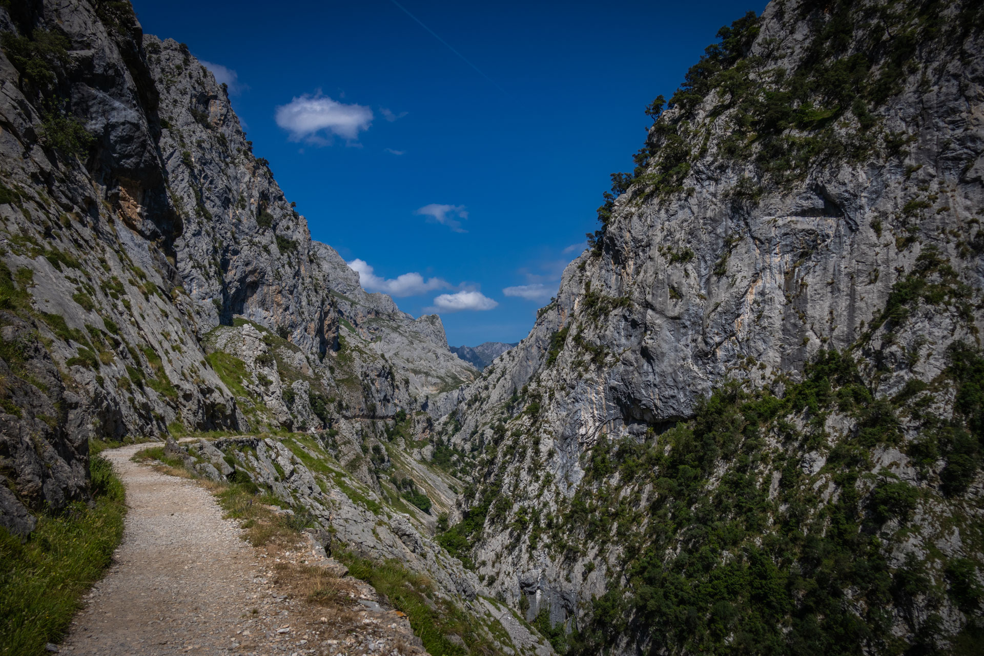Een pad langs een rotswand op Ruta del Cares met de kloof rechts.