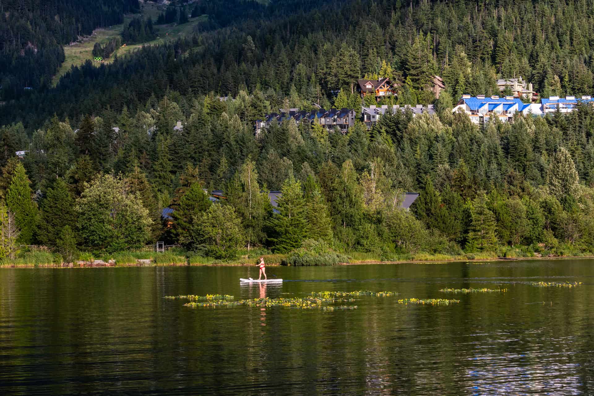 Vrouw op een SUP op het spiegelende Alpha Lake bij Whistler tegen groene bomen op de achtergrond