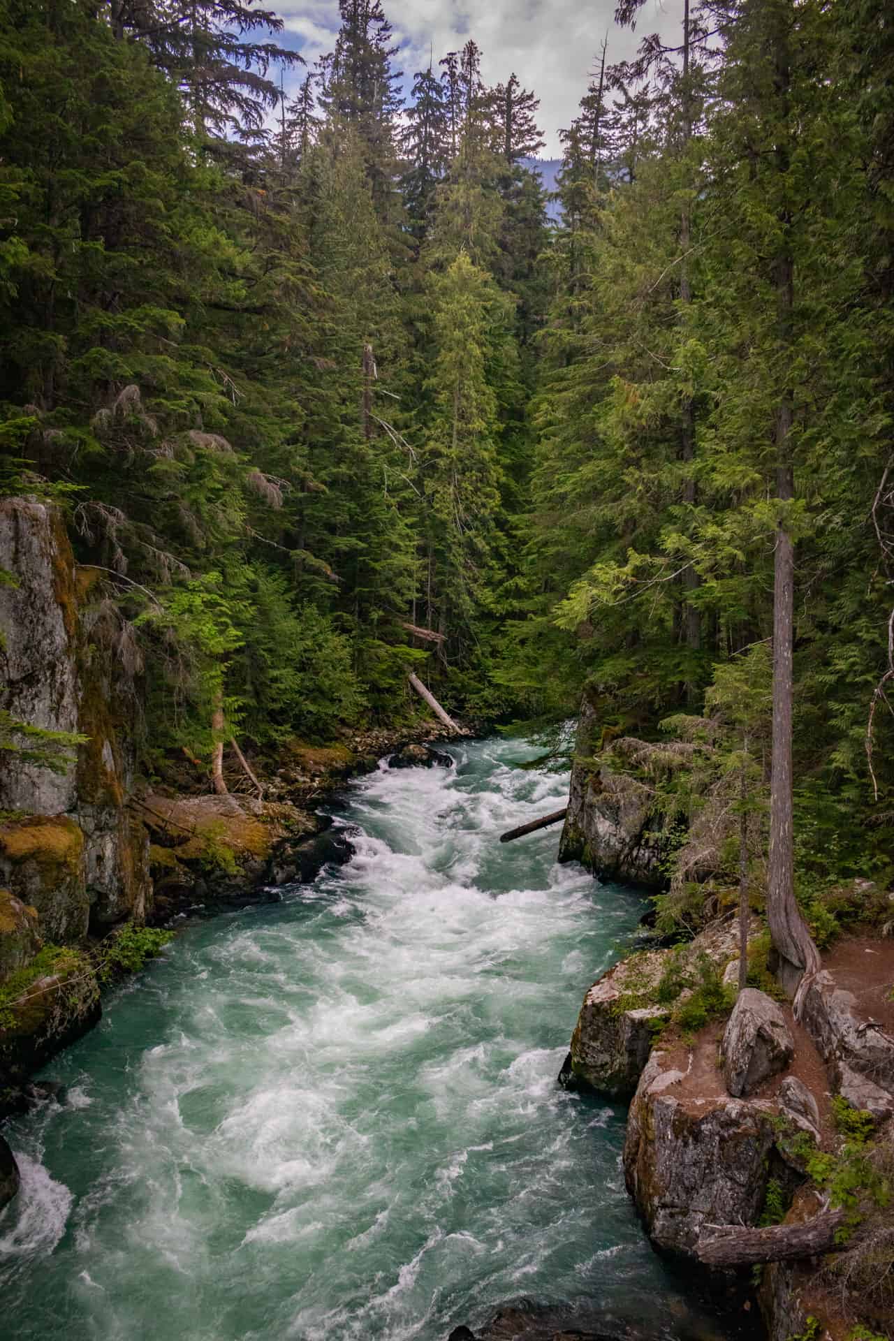 Een wilde rivier kolkt door de bedding met bomen en groen langs de zijden bij Whistler in Canada